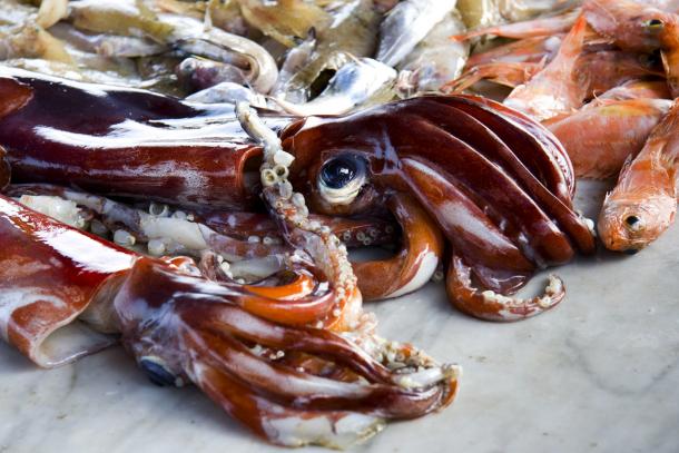 Fish market display on Ischia Island