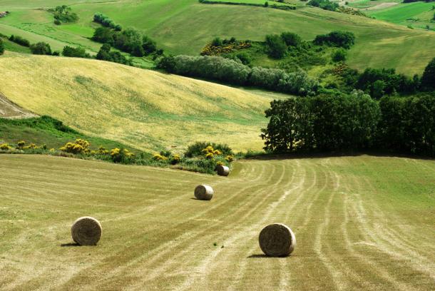 Molise countryside after the summer harvest