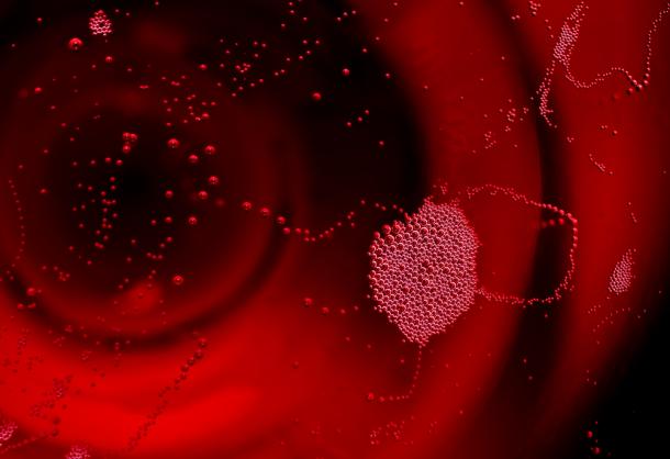 Lambrusco red wine from Emilia romagna