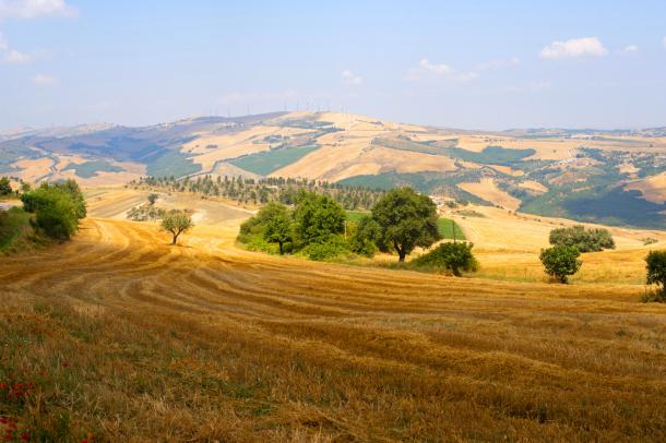 Rural landscape near Acerenza in Basilicata
