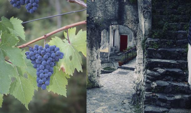 Old village and local grape vine varietal in Calabria