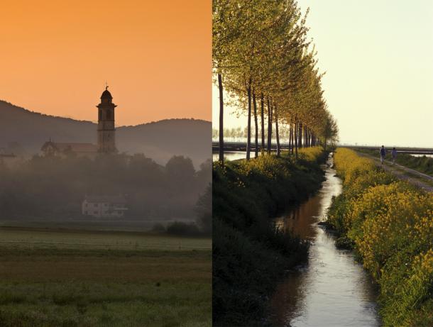 Vineyard in Lombardy during the fall