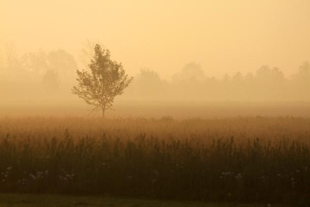 Veneto countryside landscape at dawn